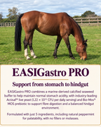 Perry Nutrition EASIGastro Pro | Horse Digestive Support - image 7 - Wellbeing Pets