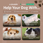 Pre & Probiotic Treats for Dogs by Pupps – image 7