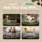 Multivitamin Treats for Dogs by Pupps – image 3