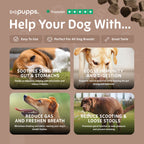 Pre & Probiotic Treats for Dogs by Pupps – image 6