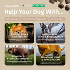 Multivitamin Treats for Dogs by Pupps – image 4