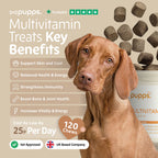 Multivitamin Treats for Dogs by Pupps – image 2