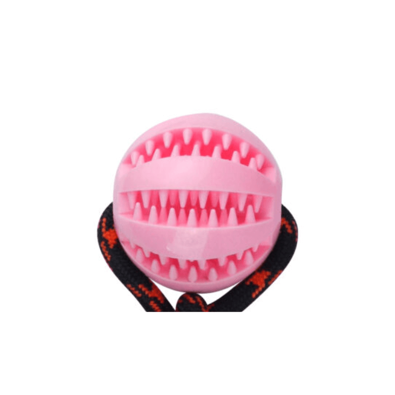 Dog Rope Toy With Toy Treat Ball