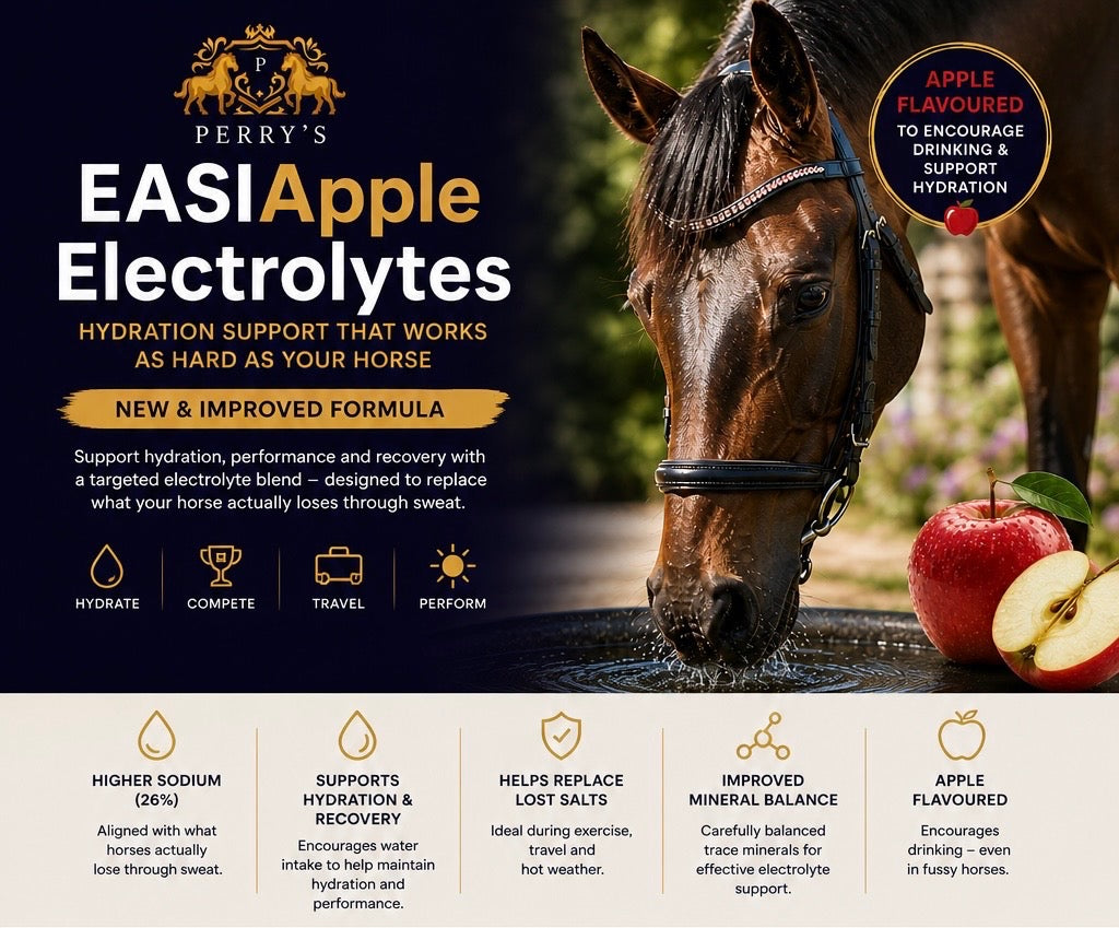 Perry Nutrition EASIApple Electrolytes for Horses - image 2 - Wellbeing Pets
