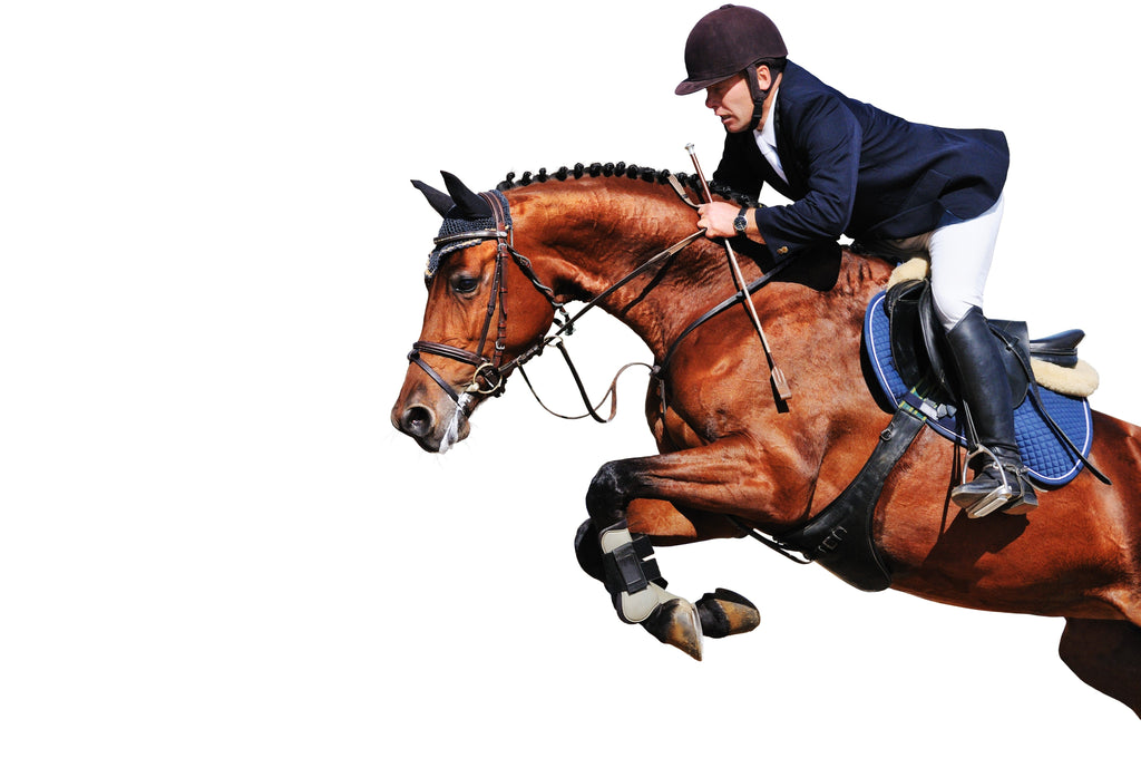 Hip and Joint Horse Premium Joint Supplement - product image - Wellbeing Pets