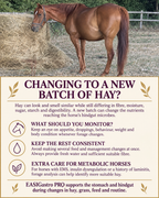 Perry Nutrition EASIGastro Pro | Horse Digestive Support - image 8 - Wellbeing Pets