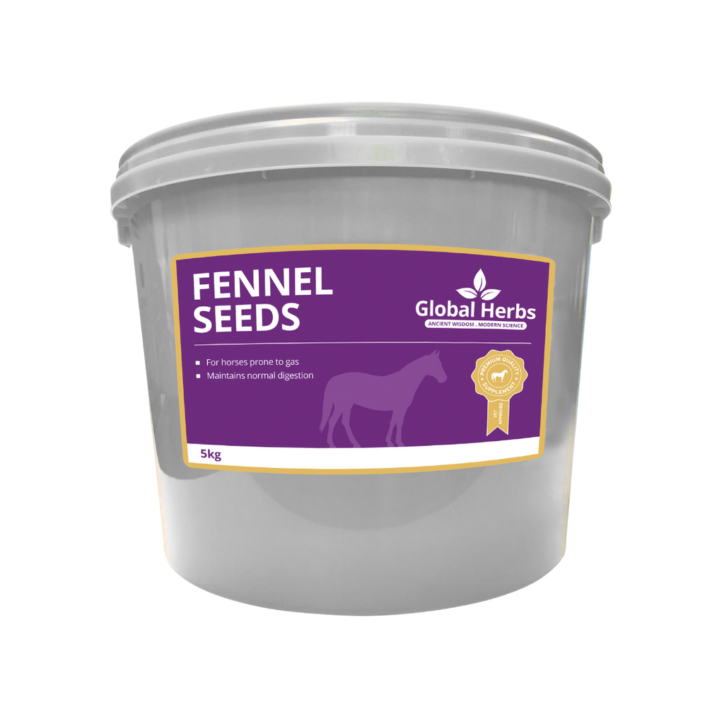 Global Herbs Fennel Seeds for Horses - image 3 - Wellbeing Pets