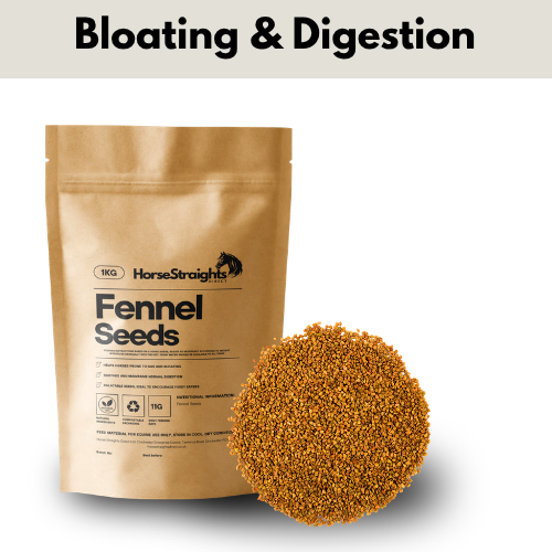 Fennel Seeds for Horses - Wellbeing Pets