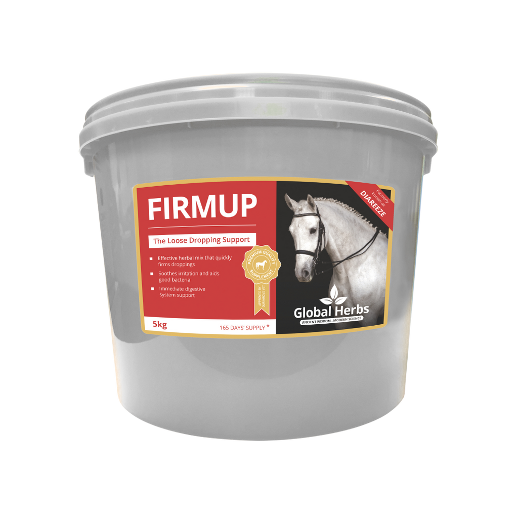 Global Herbs Firmup for Horses - image 4 - Wellbeing Pets