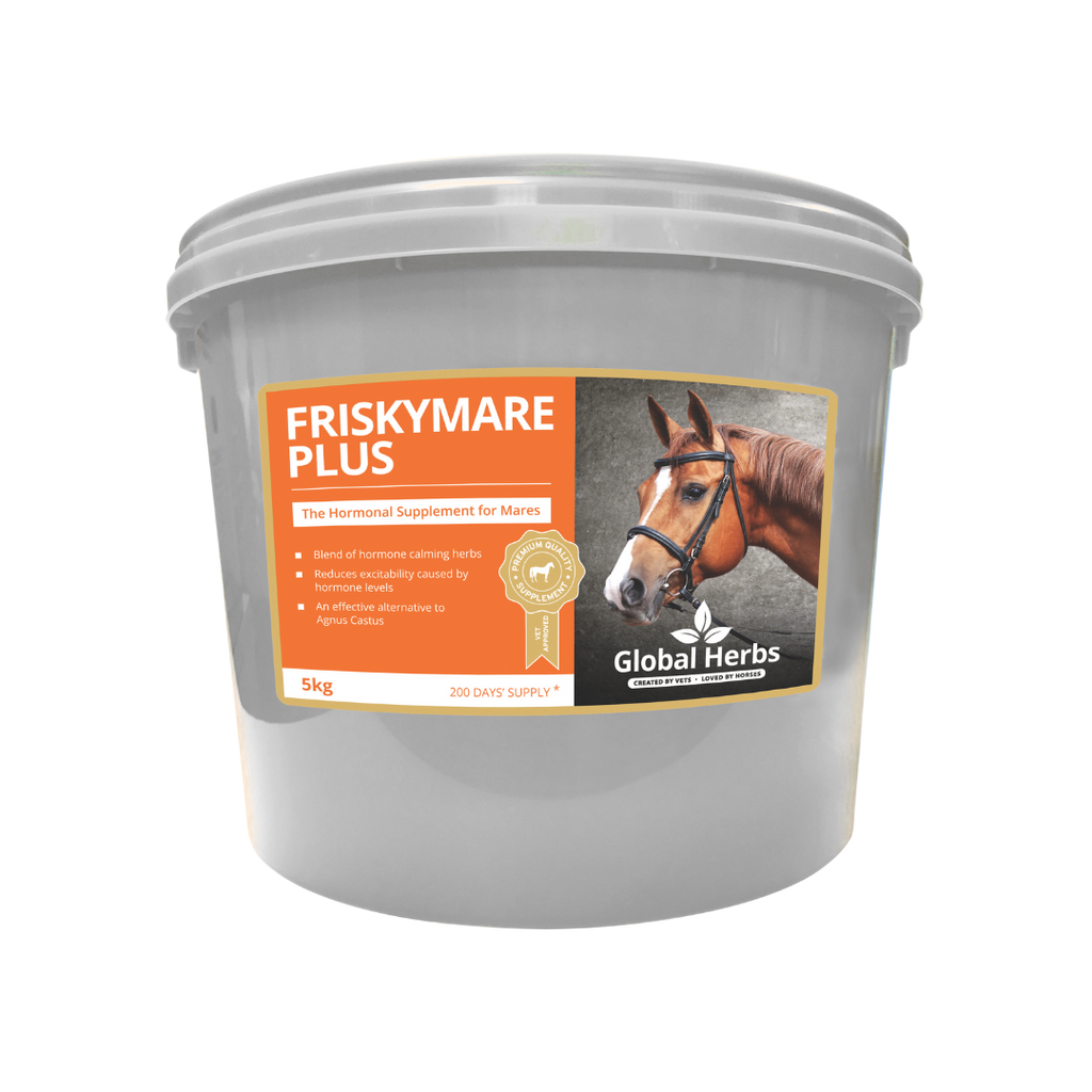 Friskymare Plus - Global Herbs - product image - Wellbeing Pets