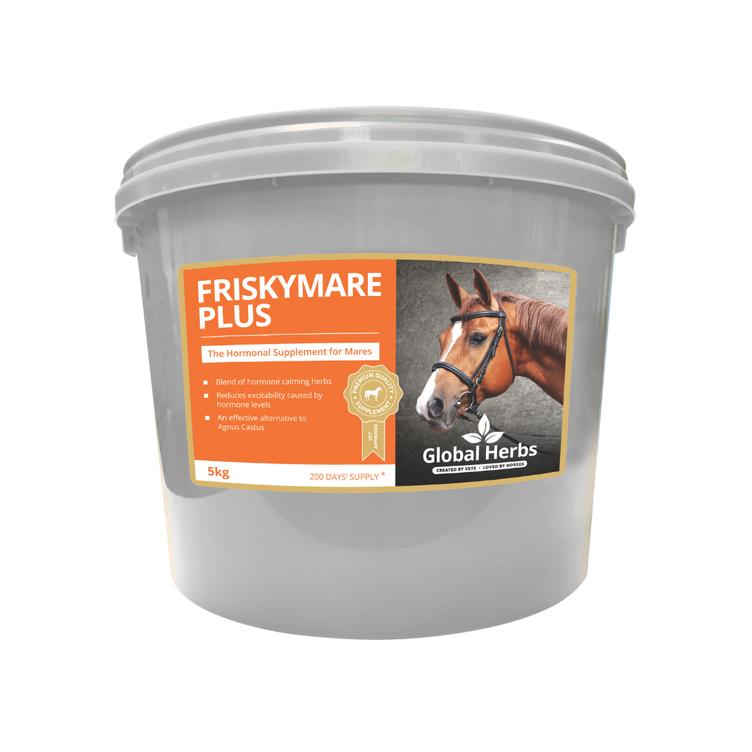 Friskymare Plus - Global Herbs - product image - Wellbeing Pets