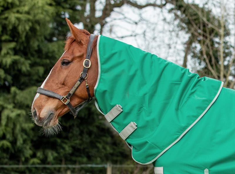 50g Green Turnout Rug Neck Cover - Wellbeing Pets