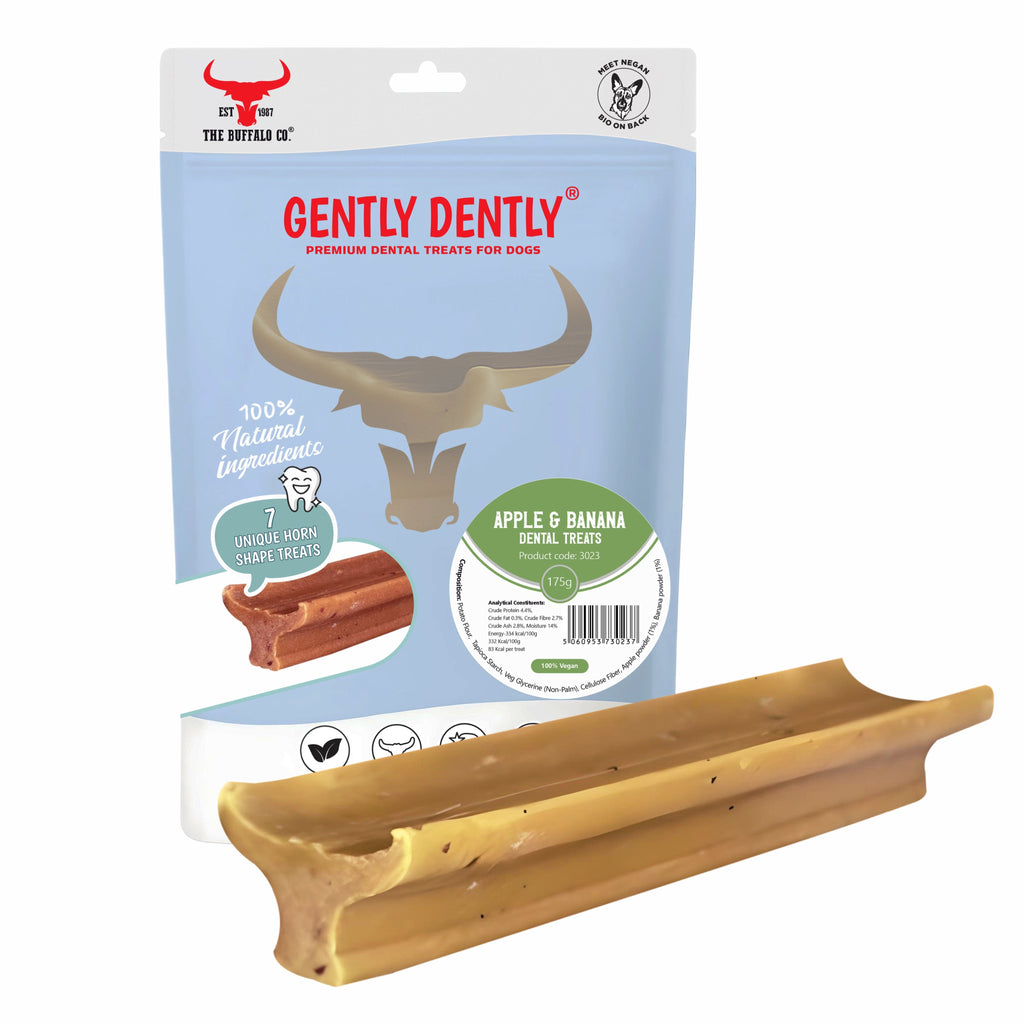 Gently Dently Apple & Banana Dental Treats for Dogs | 175g product image
