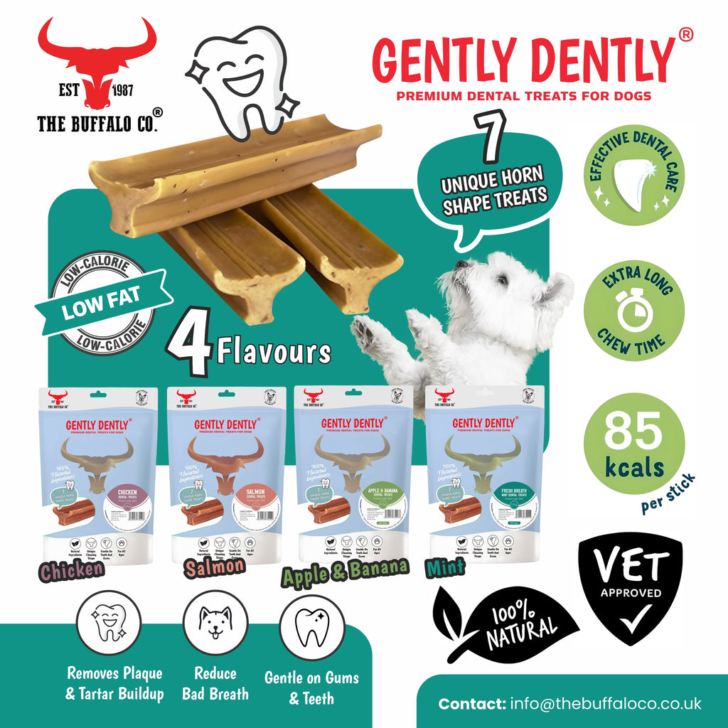 Gently Dently Fresh Breath Mint Dental Treats for Dogs | 175g product image