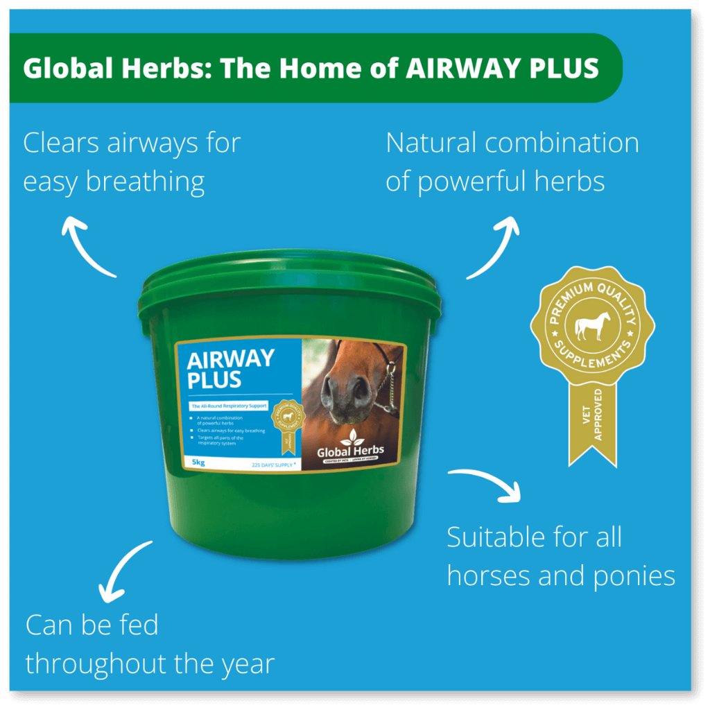 Airway Plus Powder - Global Herbs - product image - Wellbeing Pets