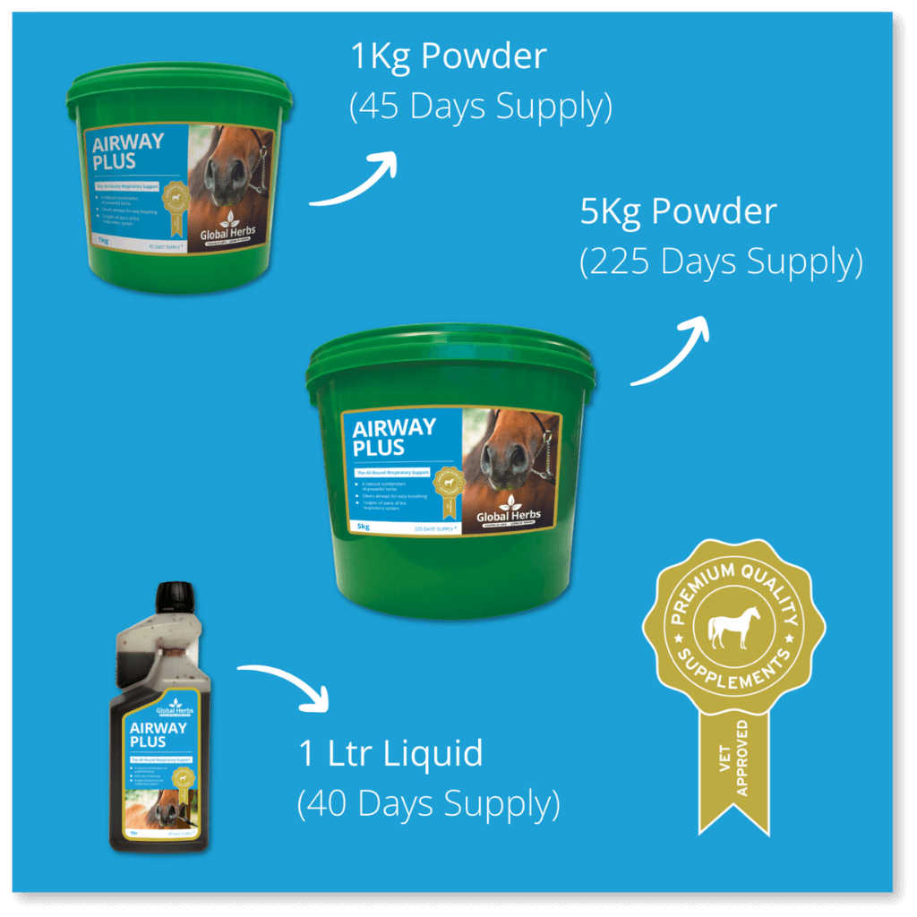 Airway Plus Powder - Global Herbs - product image - Wellbeing Pets