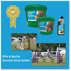Airway Plus Powder - Global Herbs - product image - Wellbeing Pets