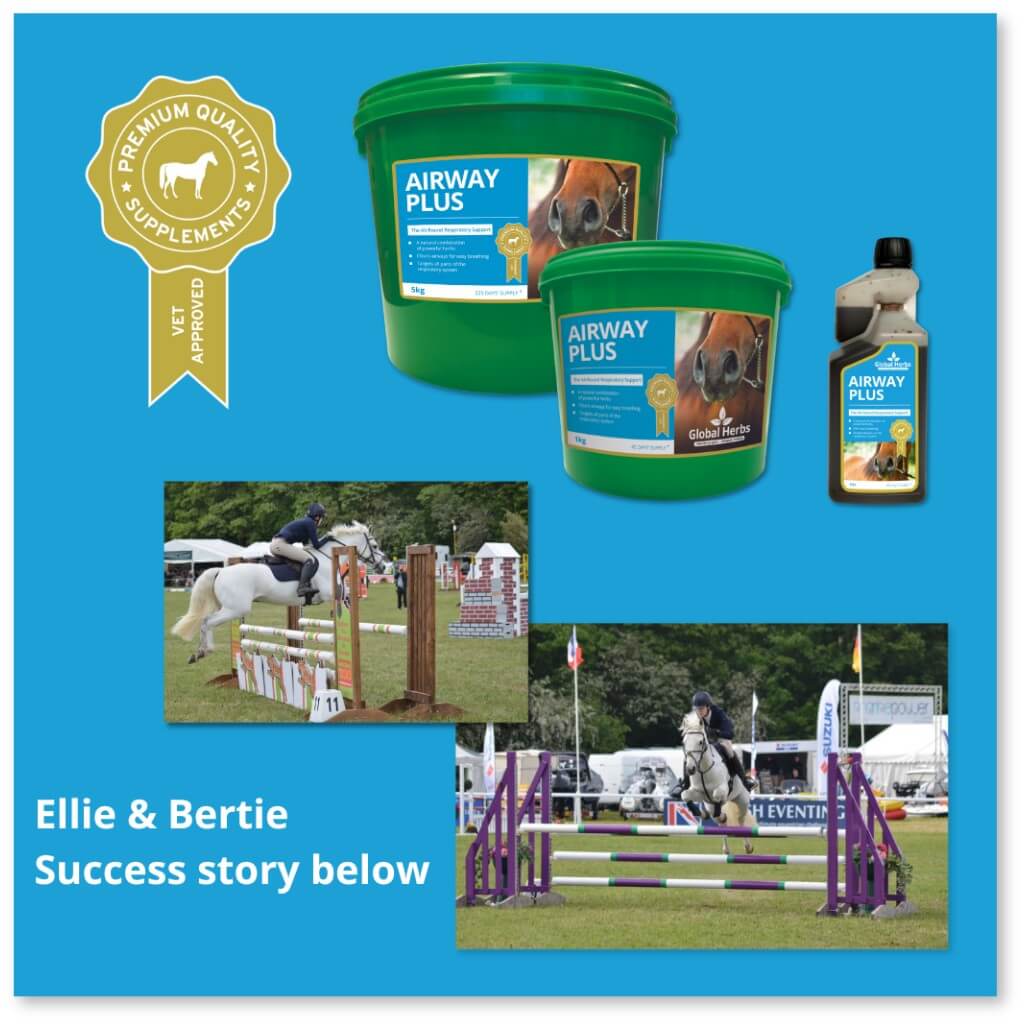Airway Plus Powder - Global Herbs - product image - Wellbeing Pets