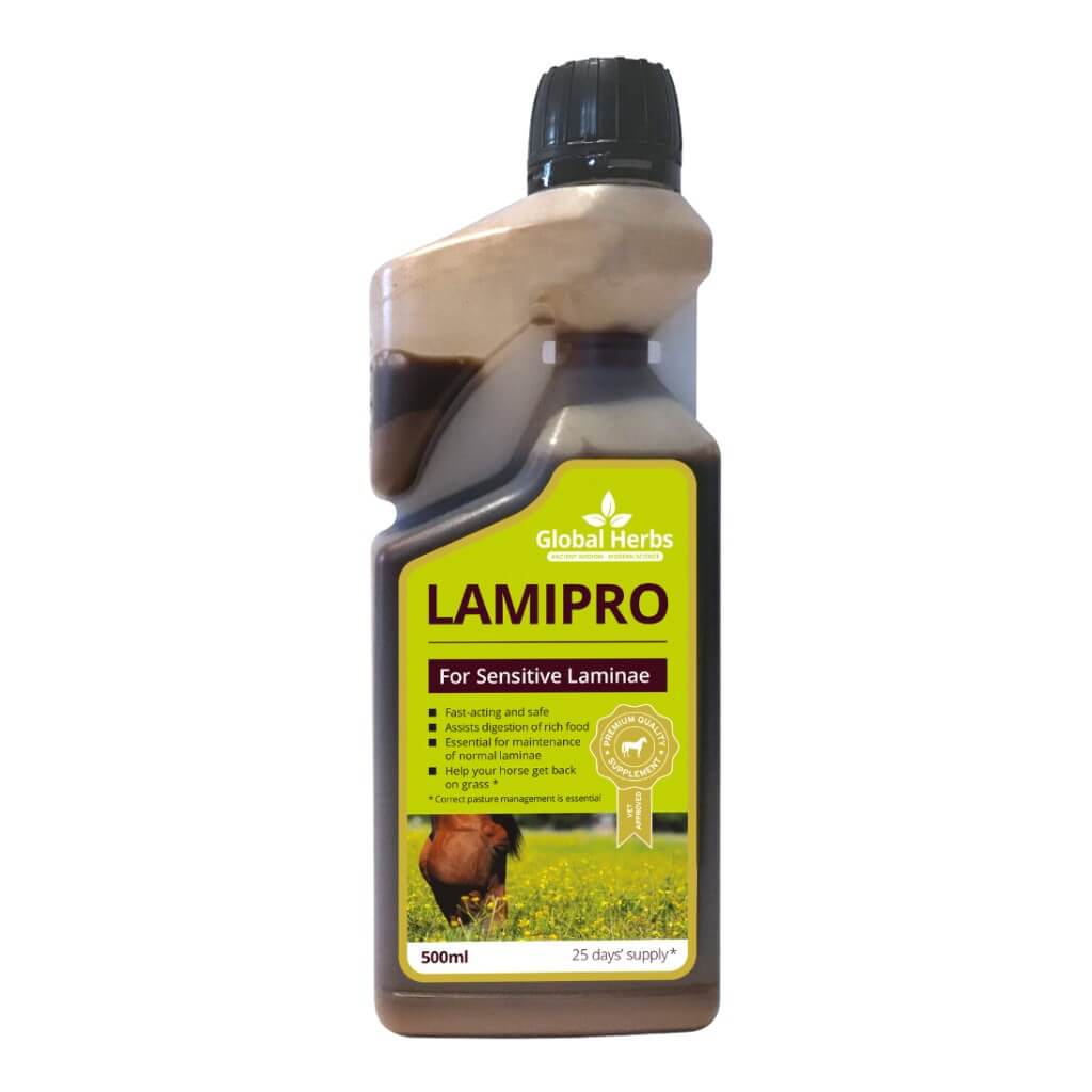 Global Herbs LamiPro Liquid for Horses - image 3 - Wellbeing Pets