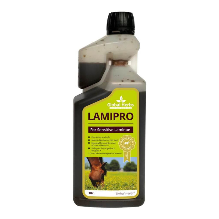 Global Herbs LamiPro Liquid for Horses