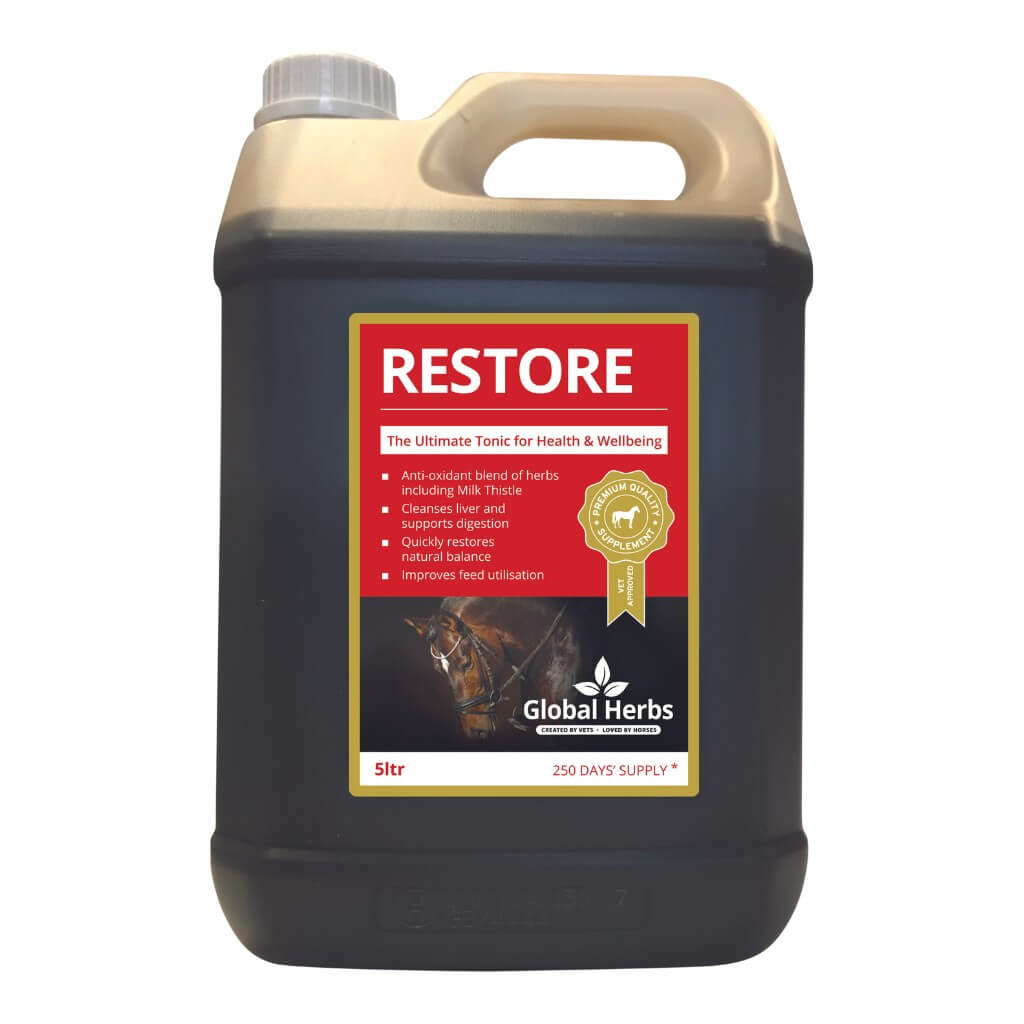Global Herbs Restore Liquid for Horses - image 2 - Wellbeing Pets