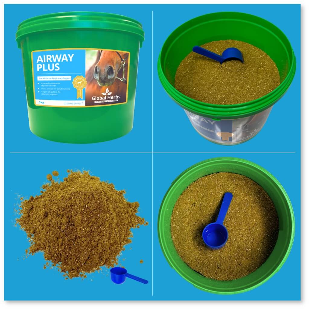 Airway Plus Powder - Global Herbs - product image - Wellbeing Pets