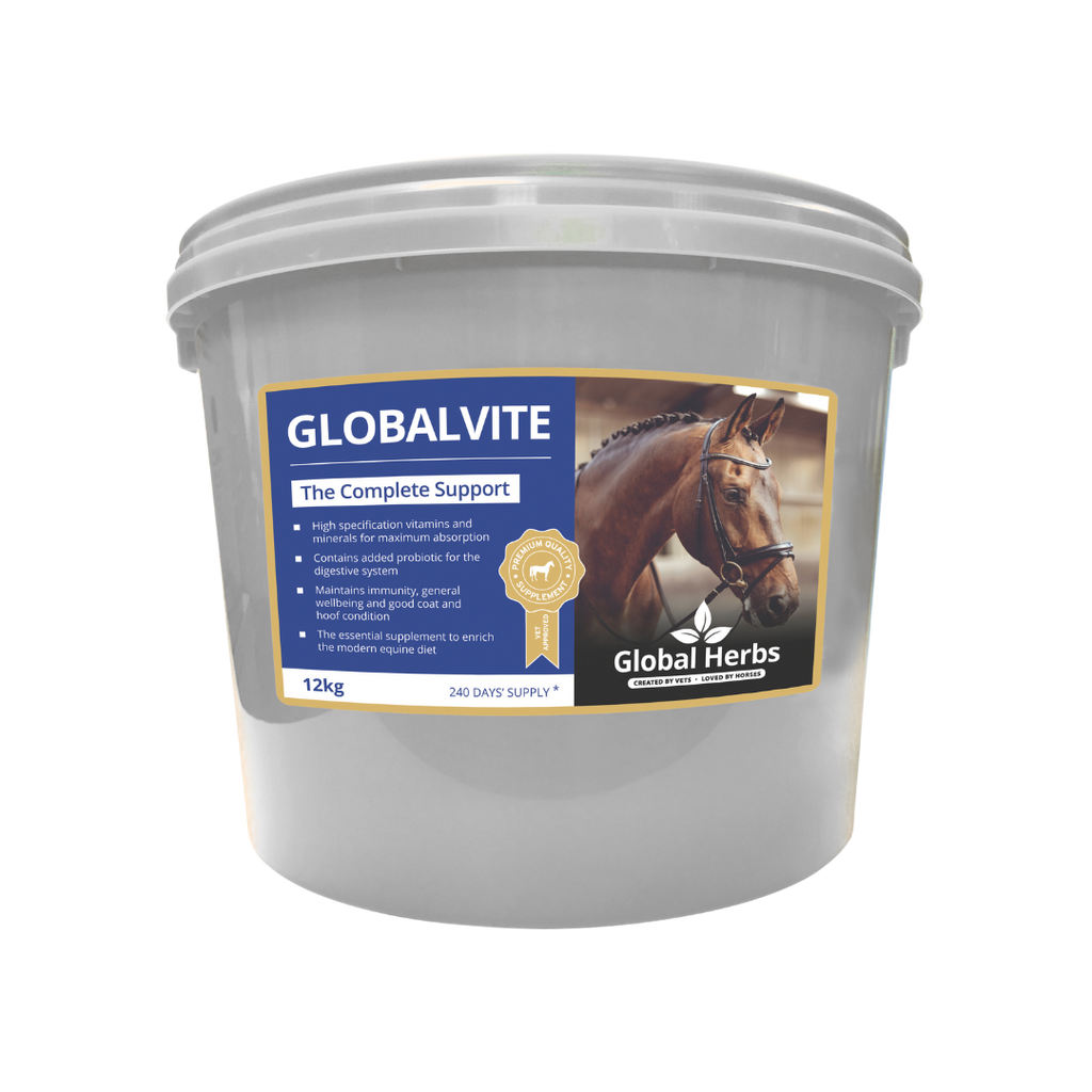 Global Herbs GlobalVite for Horses - image 4 - Wellbeing Pets