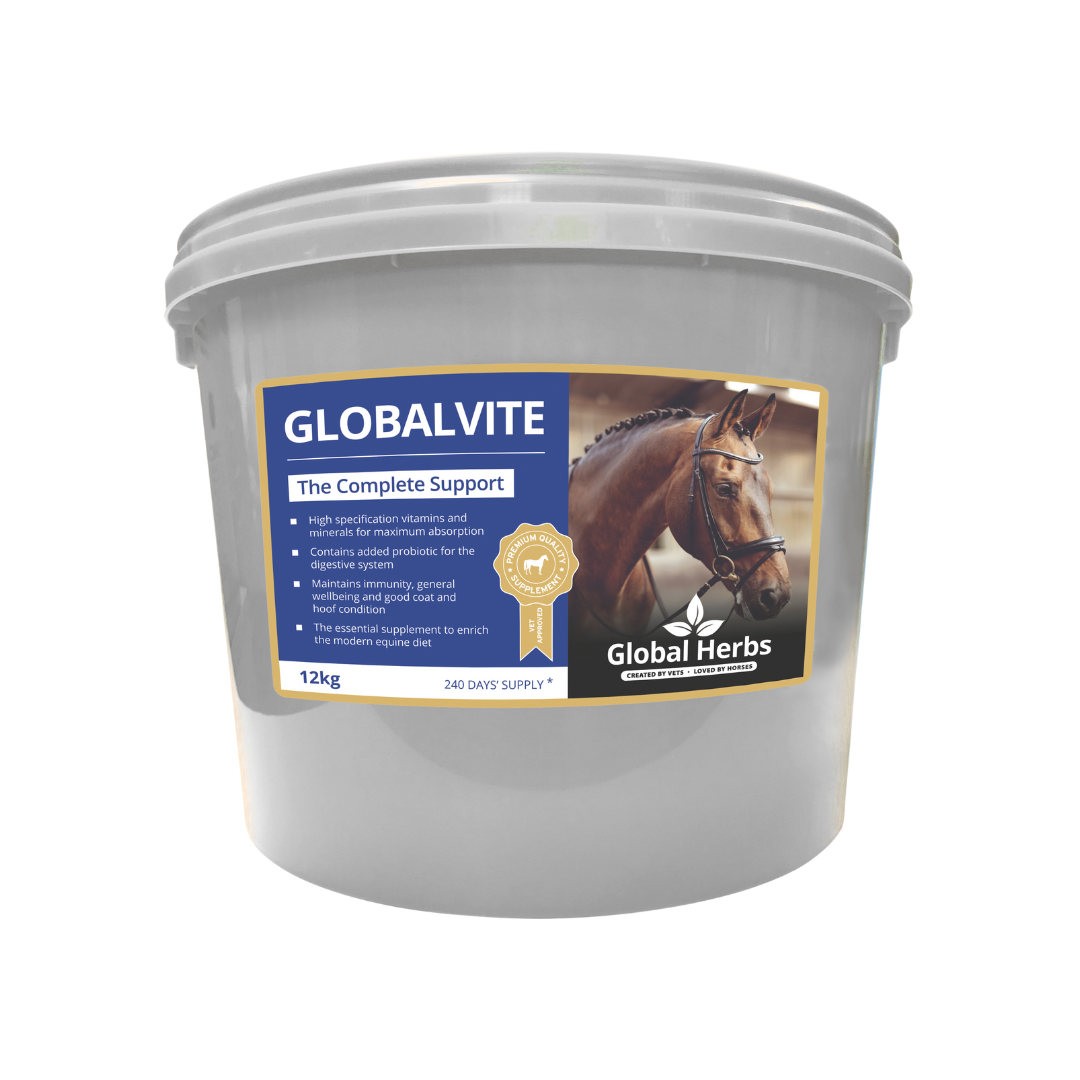 Global Herbs GlobalVite for Horses - image 4 - Wellbeing Pets