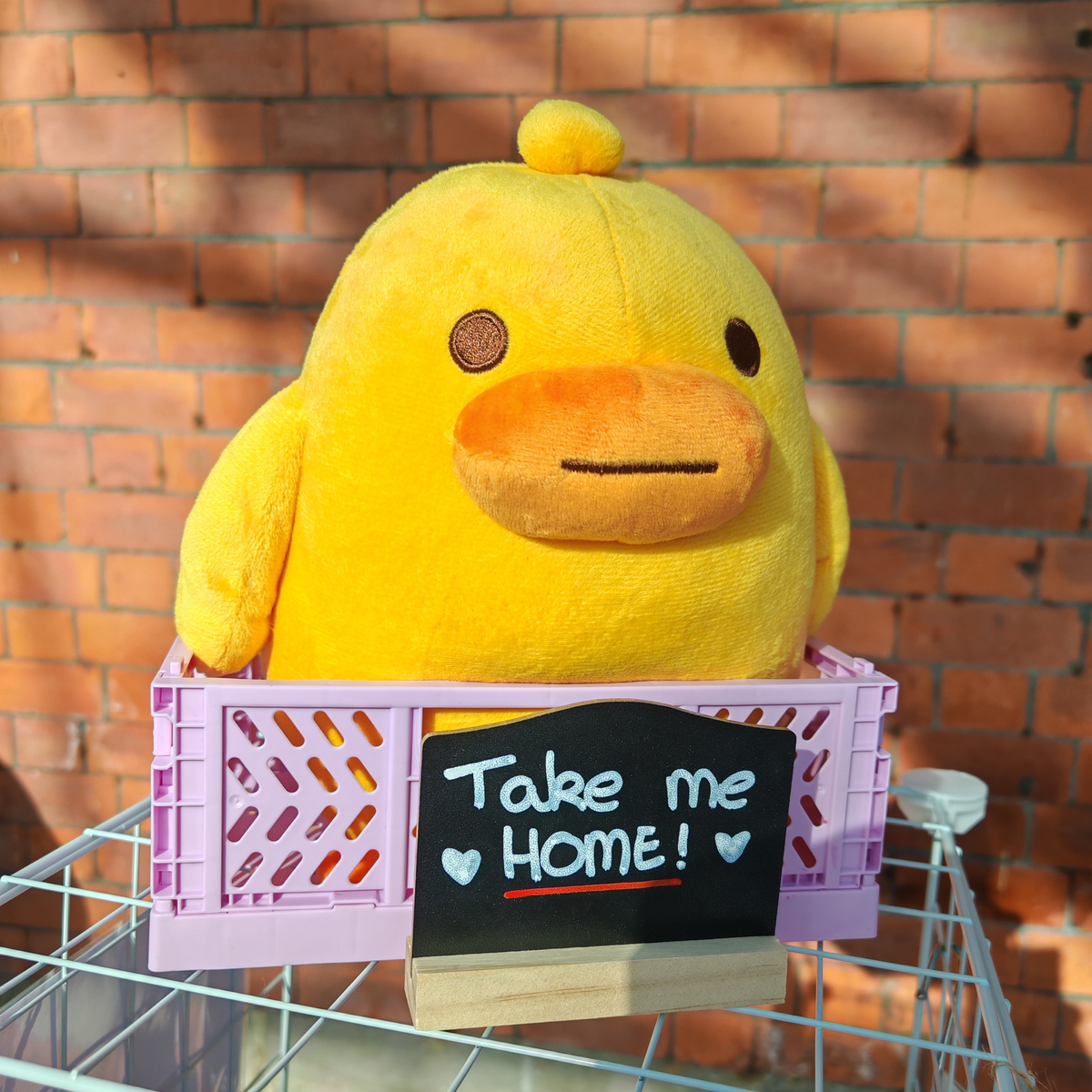 Gwok the Duck Plush