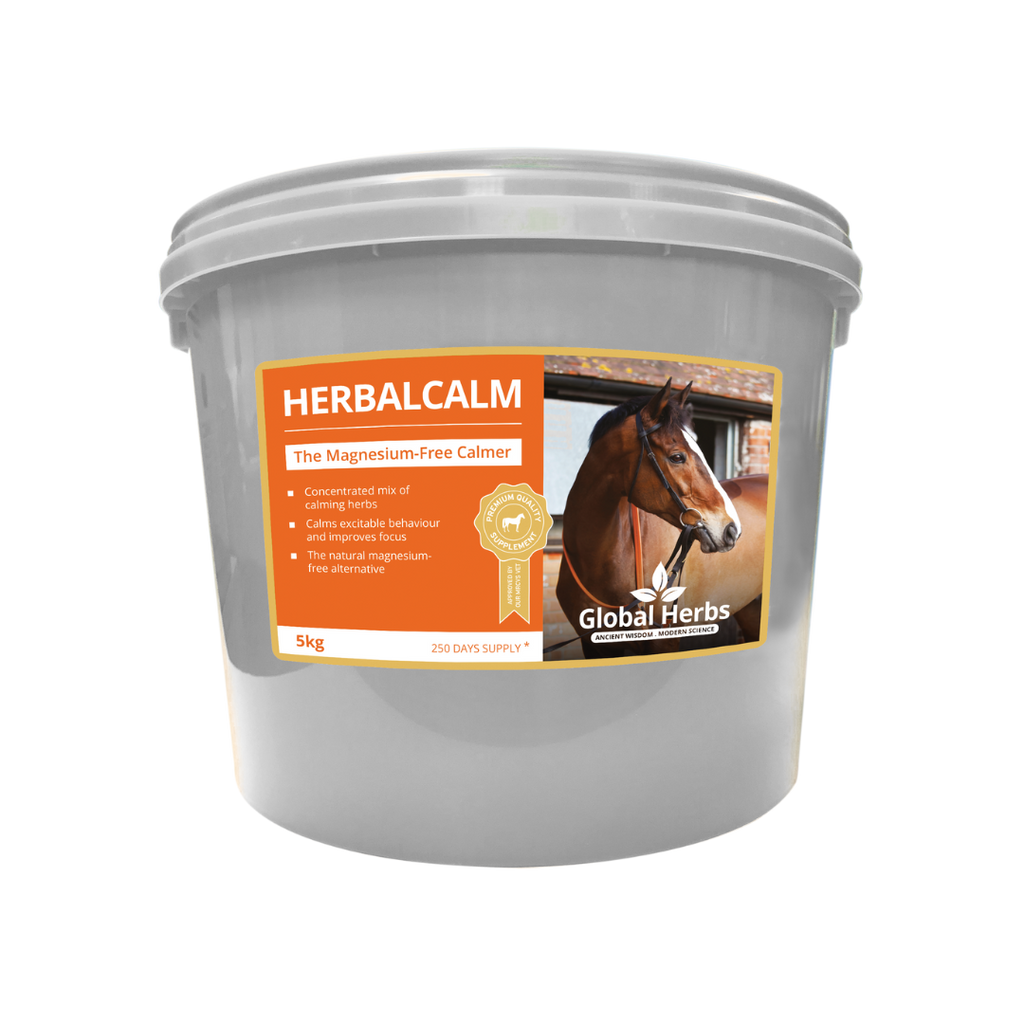 Global Herbs HerbalCalm for Horses - image 3 - Wellbeing Pets