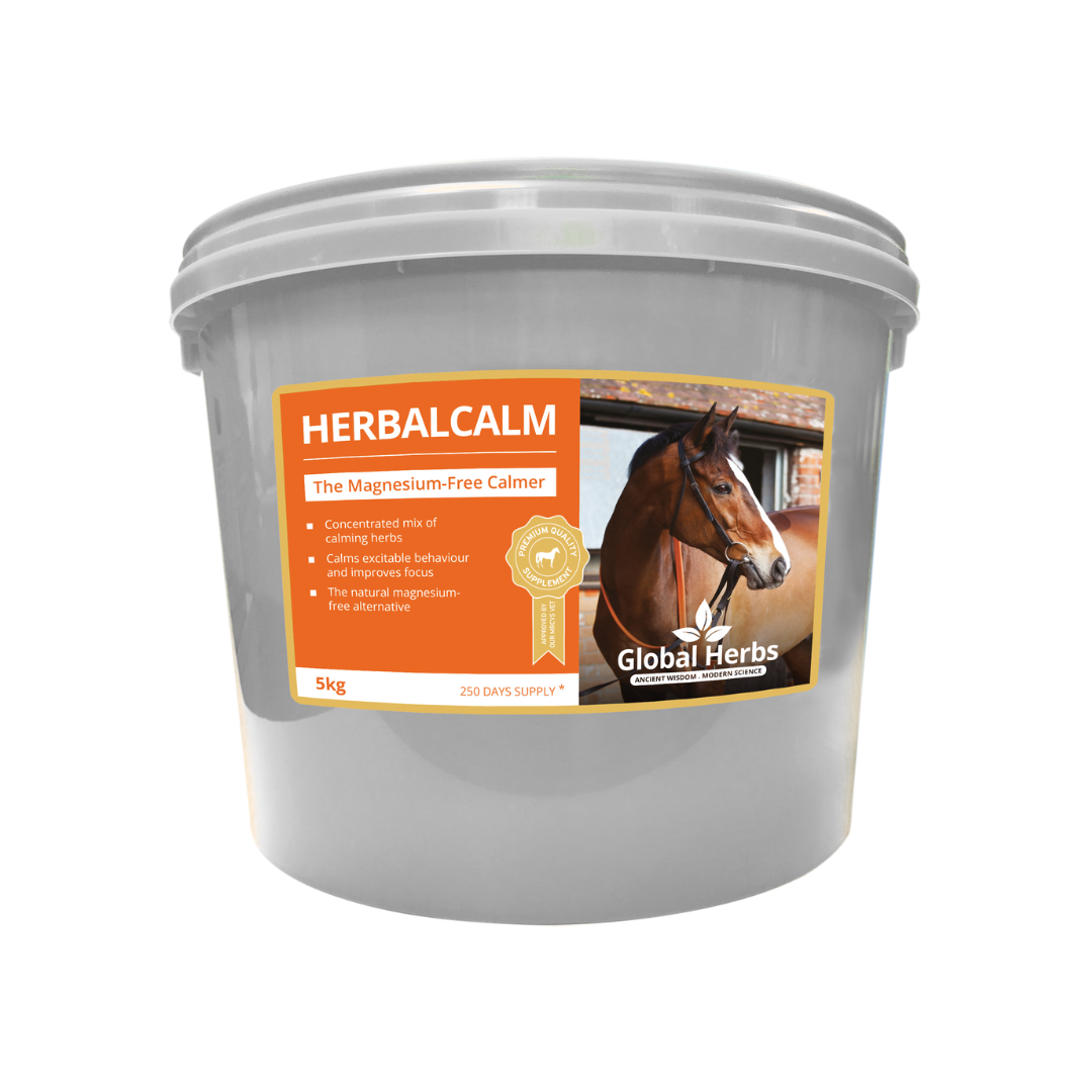 Global Herbs HerbalCalm for Horses - image 3 - Wellbeing Pets