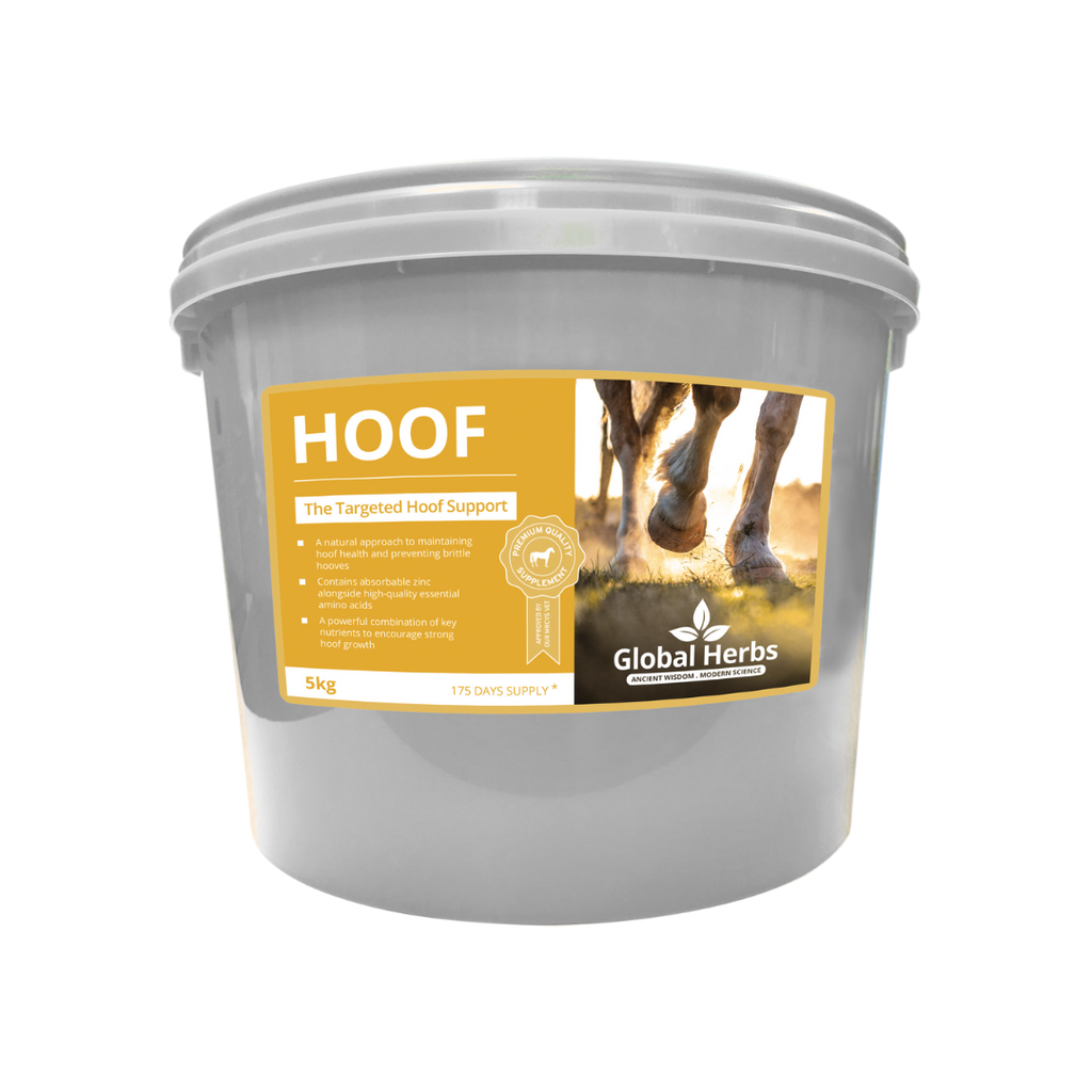 Global Herbs Hoof for Horses - image 3 - Wellbeing Pets