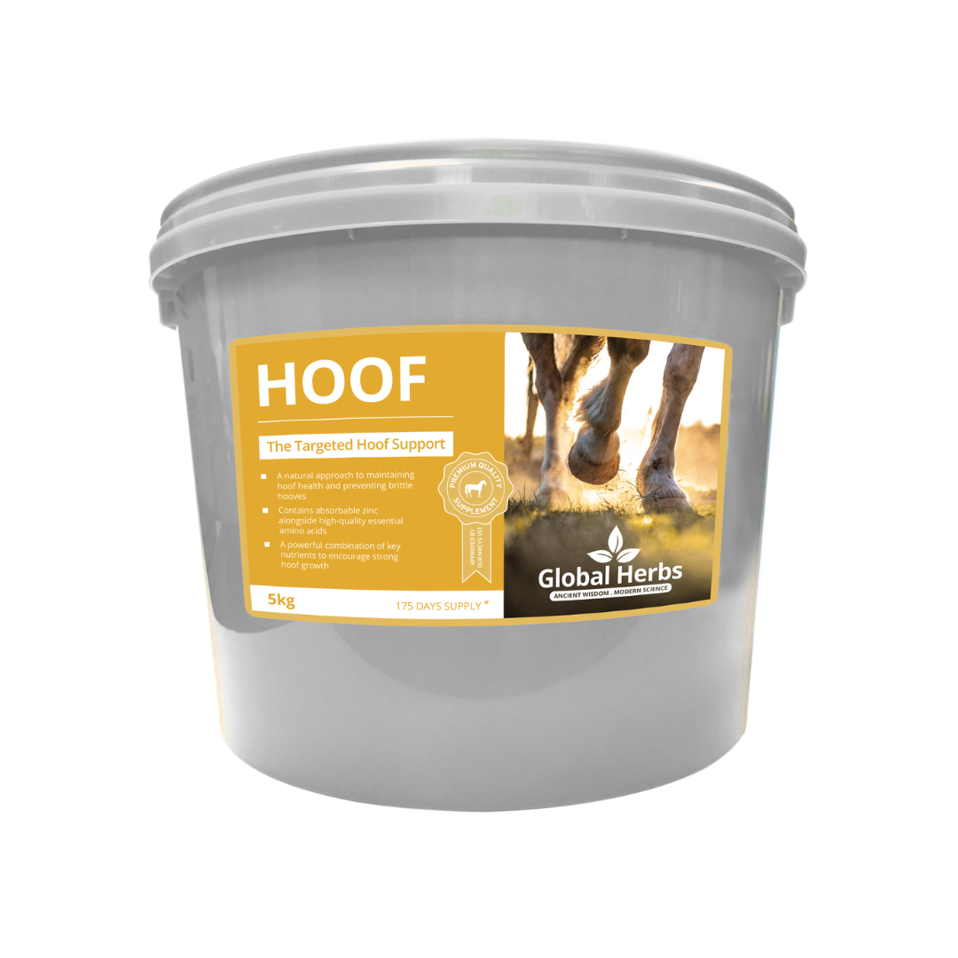 Global Herbs Hoof for Horses - image 3 - Wellbeing Pets