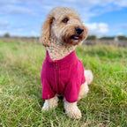 Dog Fleece Coat - Berry Red - Wellbeing Pets