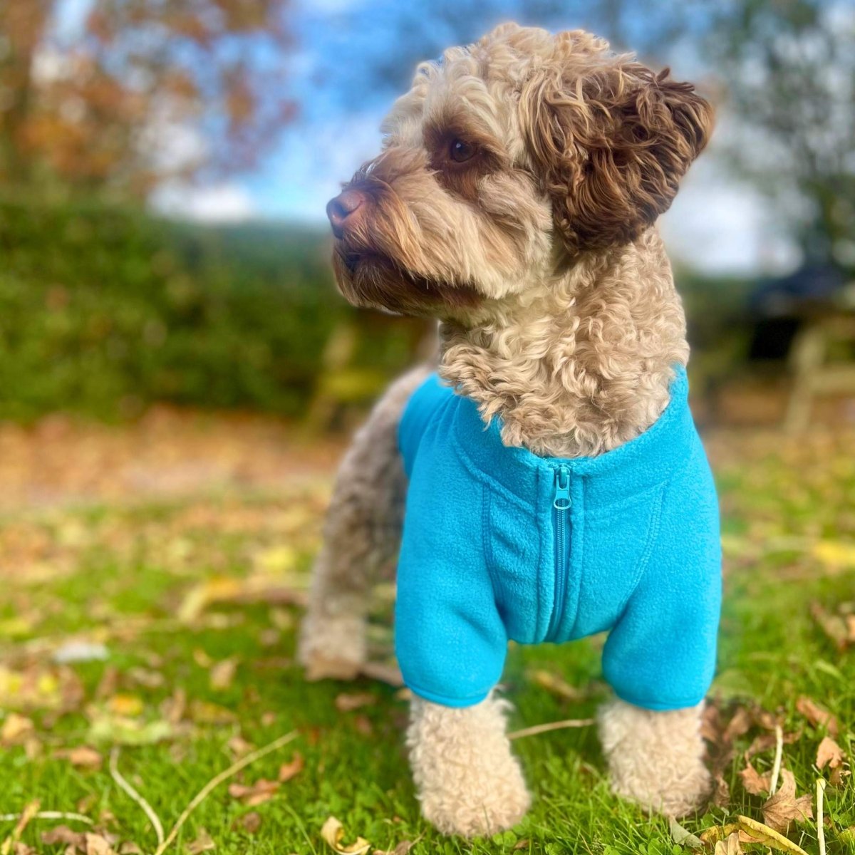Dog Fleece Coat - Blue - Wellbeing Pets