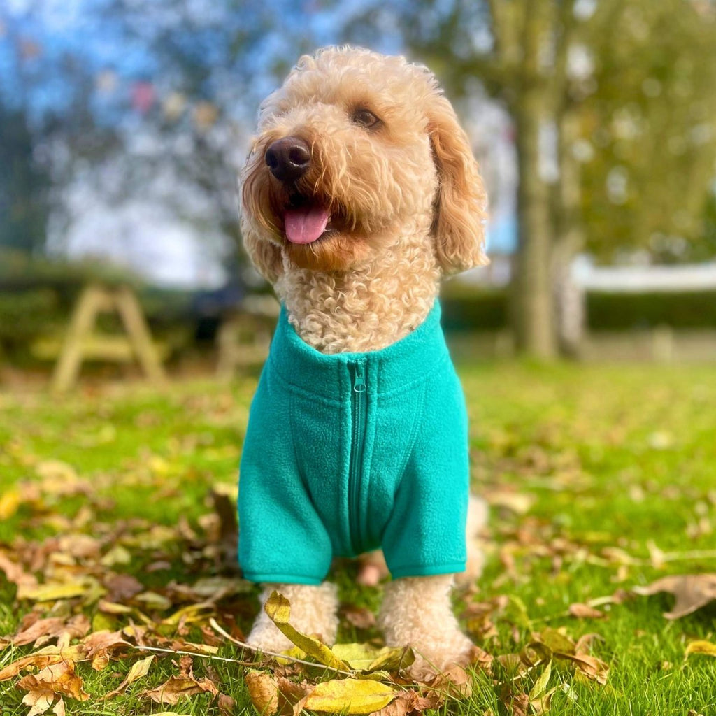 Dog Fleece Coat - Green - Wellbeing Pets