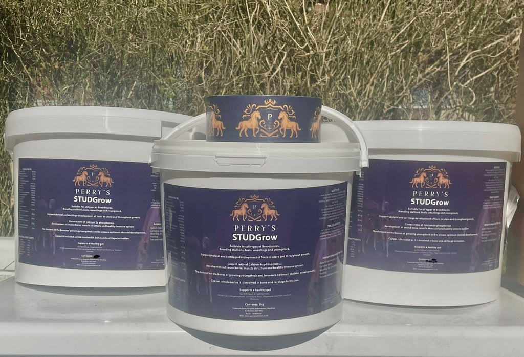 Perry Nutrition STUDGrow | Breeding & Youngstock 15kg - image 3 - Wellbeing Pets