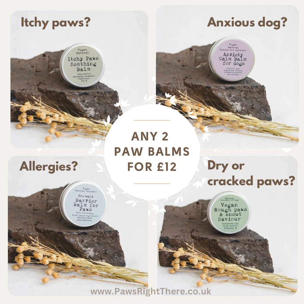 Rough Paws & Snout Saviour Balm for Dogs by Paws Right There – image 3
