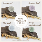 Rough Paws & Snout Saviour Balm for Dogs by Paws Right There – image 3