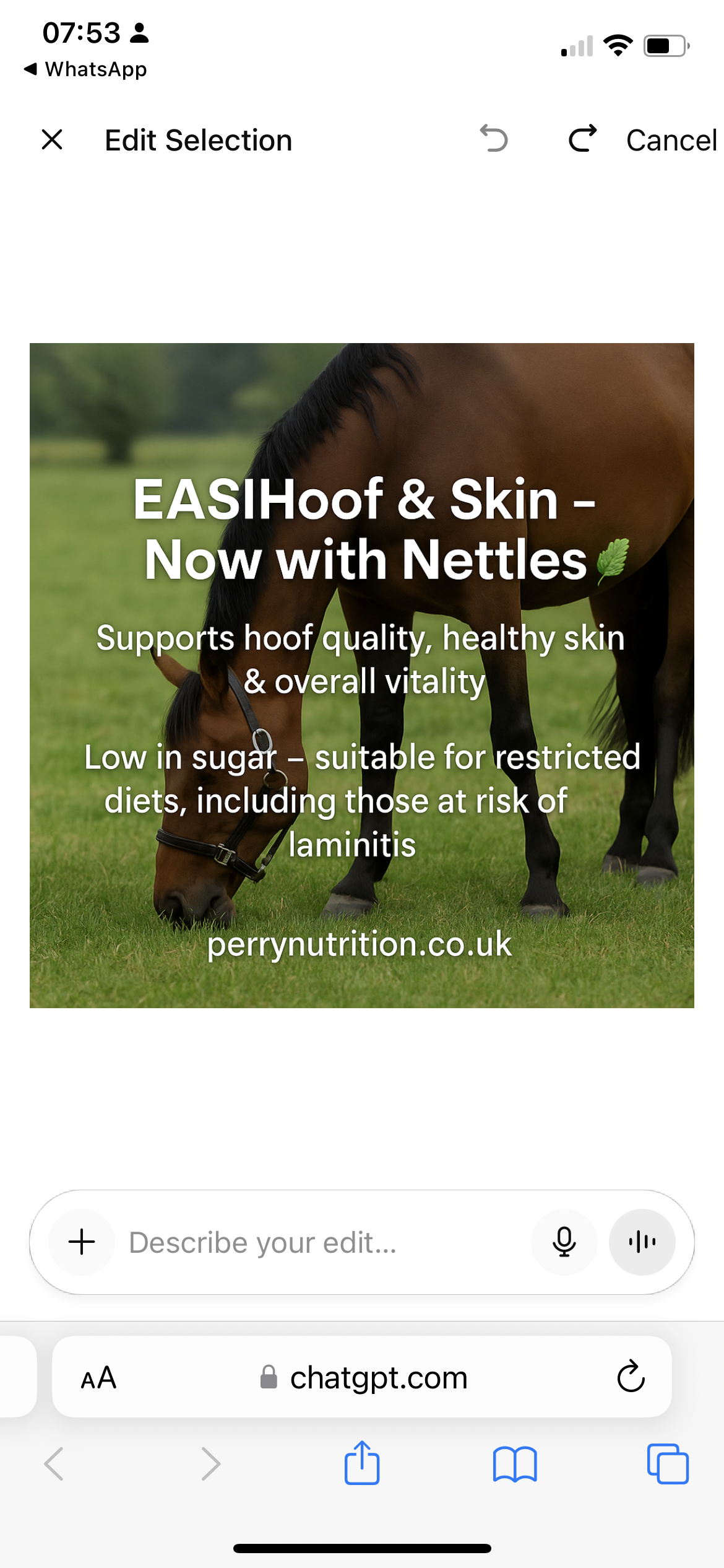 Perry Nutrition EASIHoof & Skin for Horses - image 4 - Wellbeing Pets