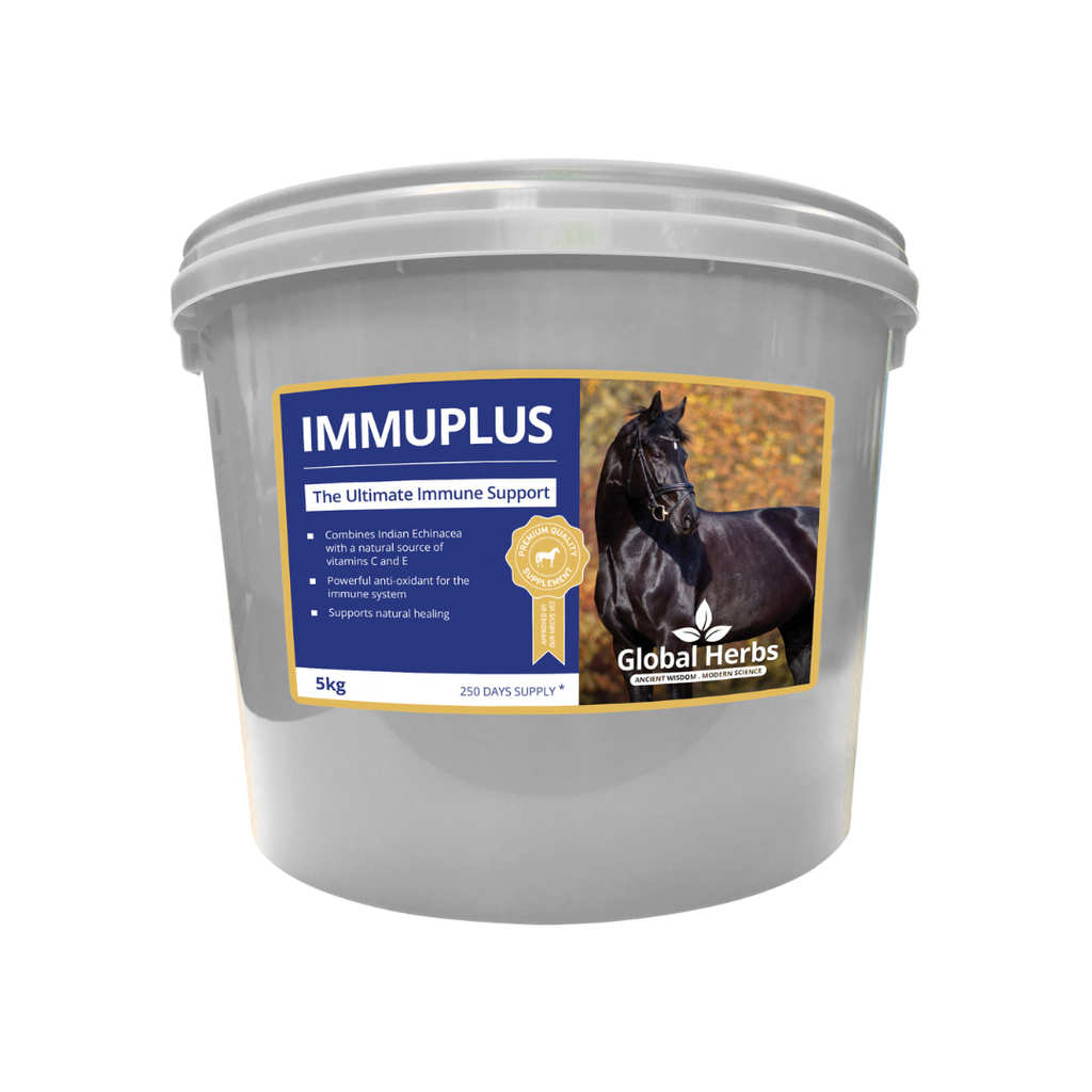 Global Herbs ImmuPlus for Horses - image 3 - Wellbeing Pets