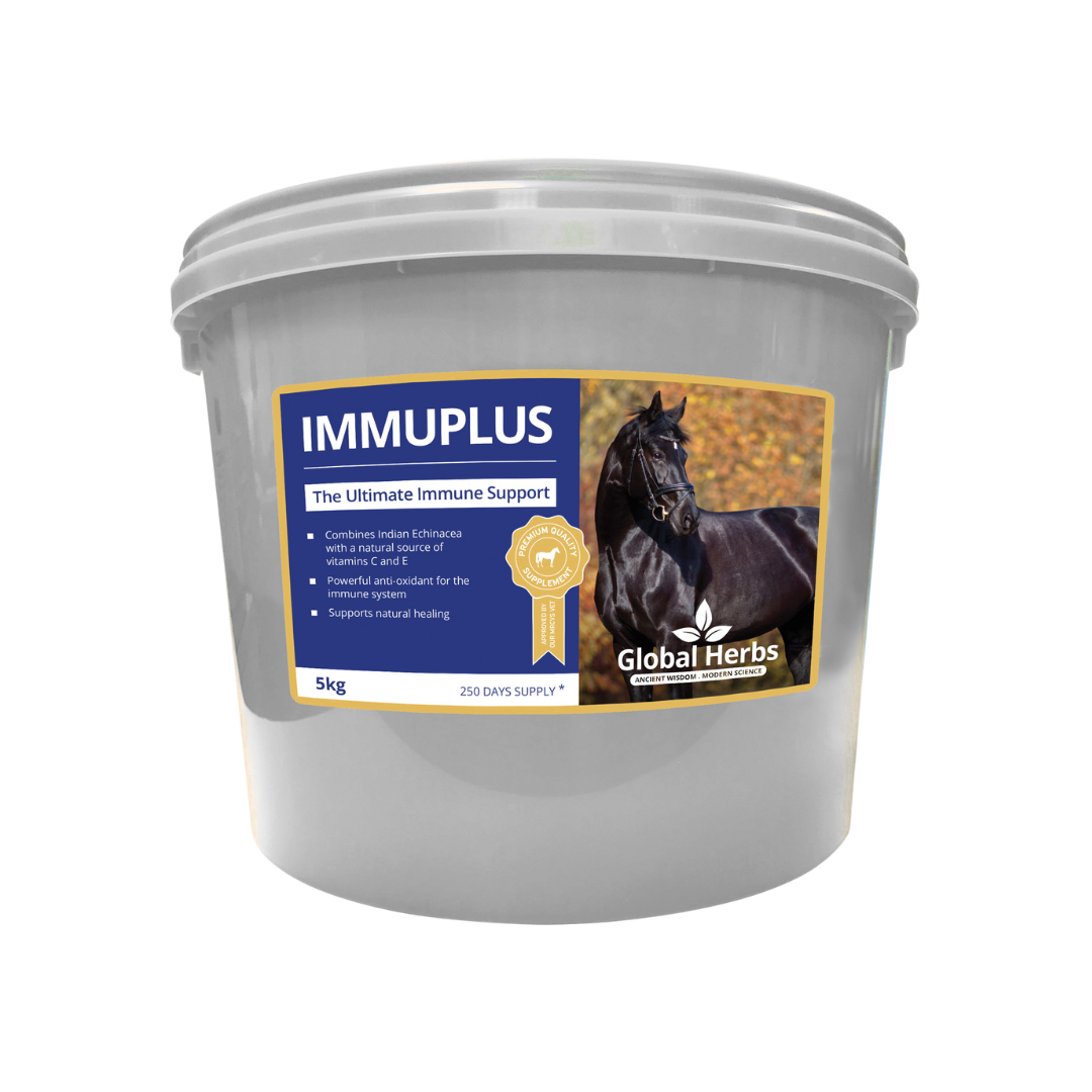 Global Herbs ImmuPlus for Horses - image 3 - Wellbeing Pets