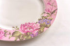 Coffee Tea Cup and Saucer 7.5" Dessert Plate Set 3 Shabby Chic Vintage Porcelain Bird Butterfly Floral Gift Box (Pink)