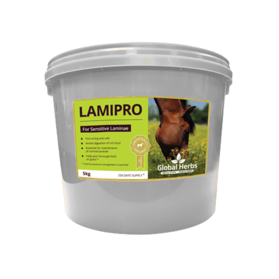 LamiPro - Global Herbs - product image - Wellbeing Pets