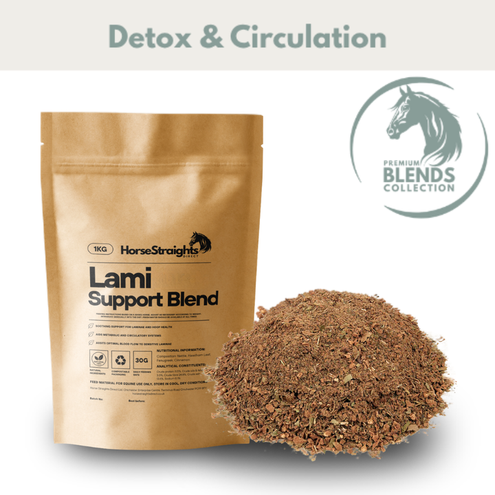 Lami Support Blend for Horses