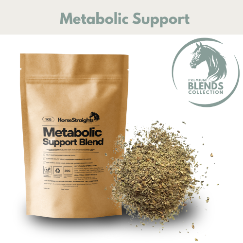 Metabolic Support Blend for Horses