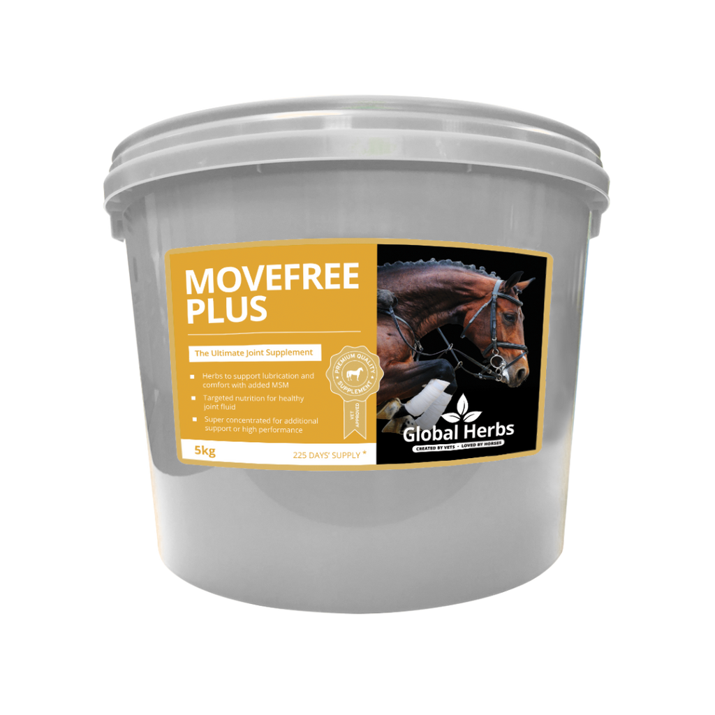 MoveFree Plus - Global Herbs - product image - Wellbeing Pets