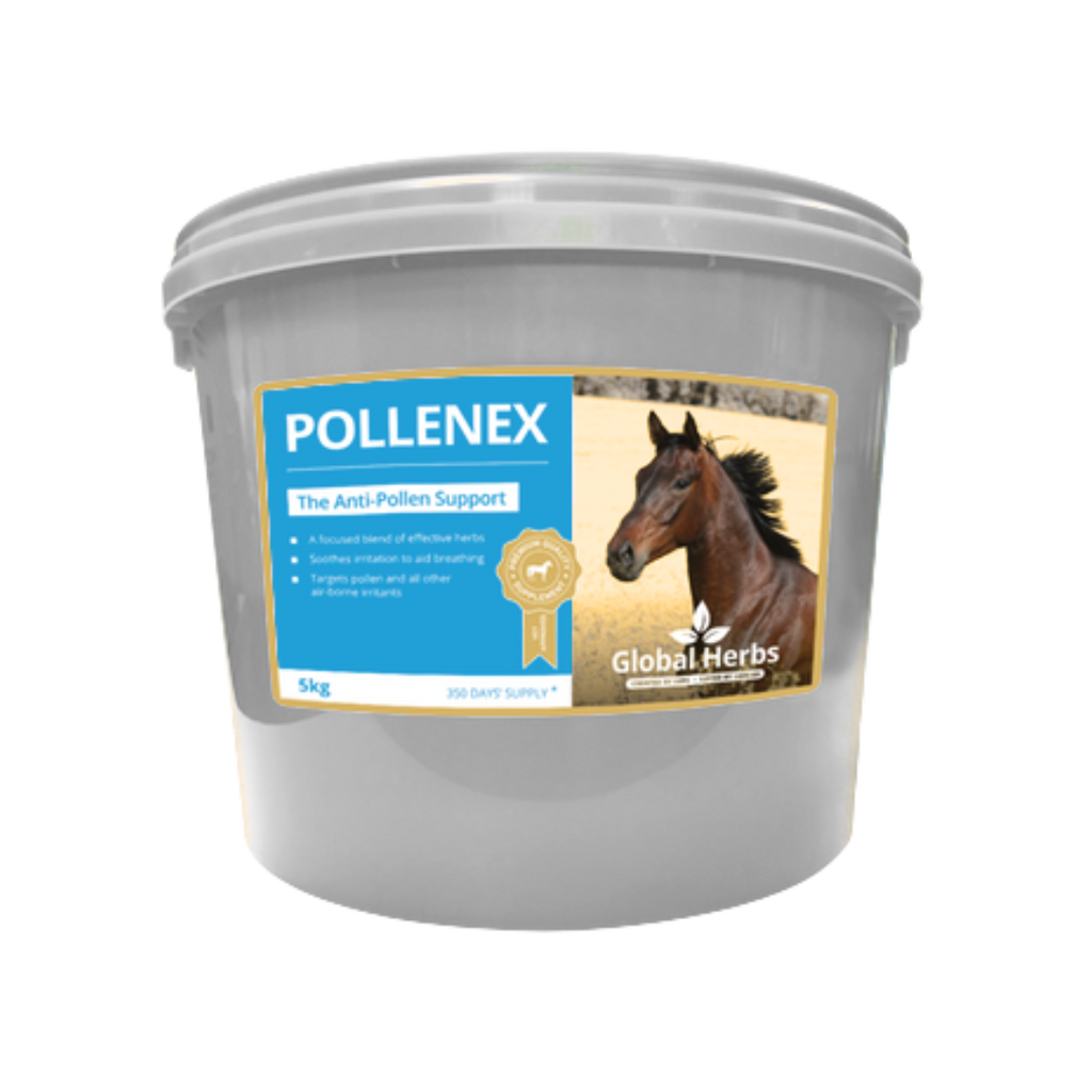 Global Herbs Pollenex for Horses - image 4 - Wellbeing Pets