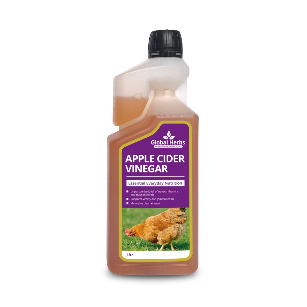 Global Herbs Apple Cider Vinegar for Chickens - Wellbeing Pets