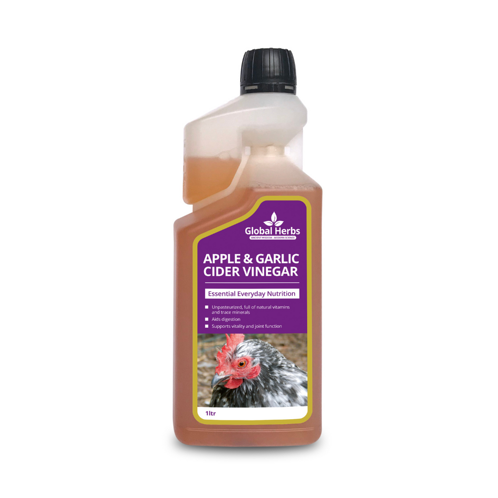 Global Herbs Apple & Garlic Cider Vinegar for Chickens - Wellbeing Pets
